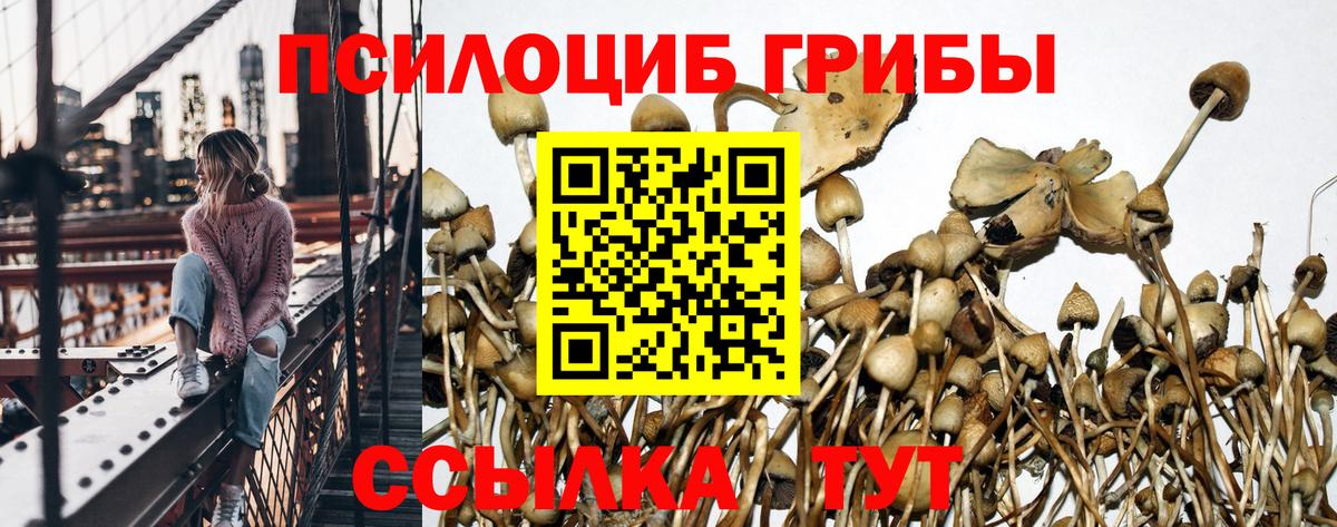 Дюртюли  Галлюциногенные грибы прущие грибы  где можно купить наркотик  Вход с VPN 